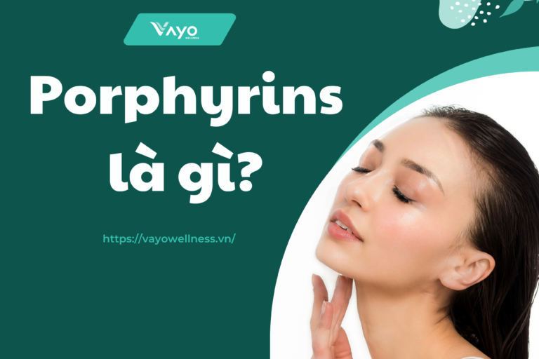 Porphyrins là gì?