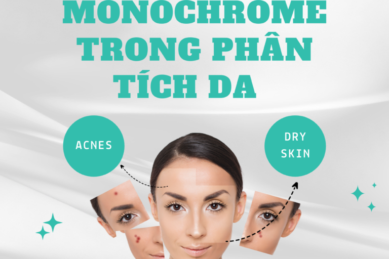 ung-dung-monochrome-trong-phan-tich-da-nhu-the-nao
